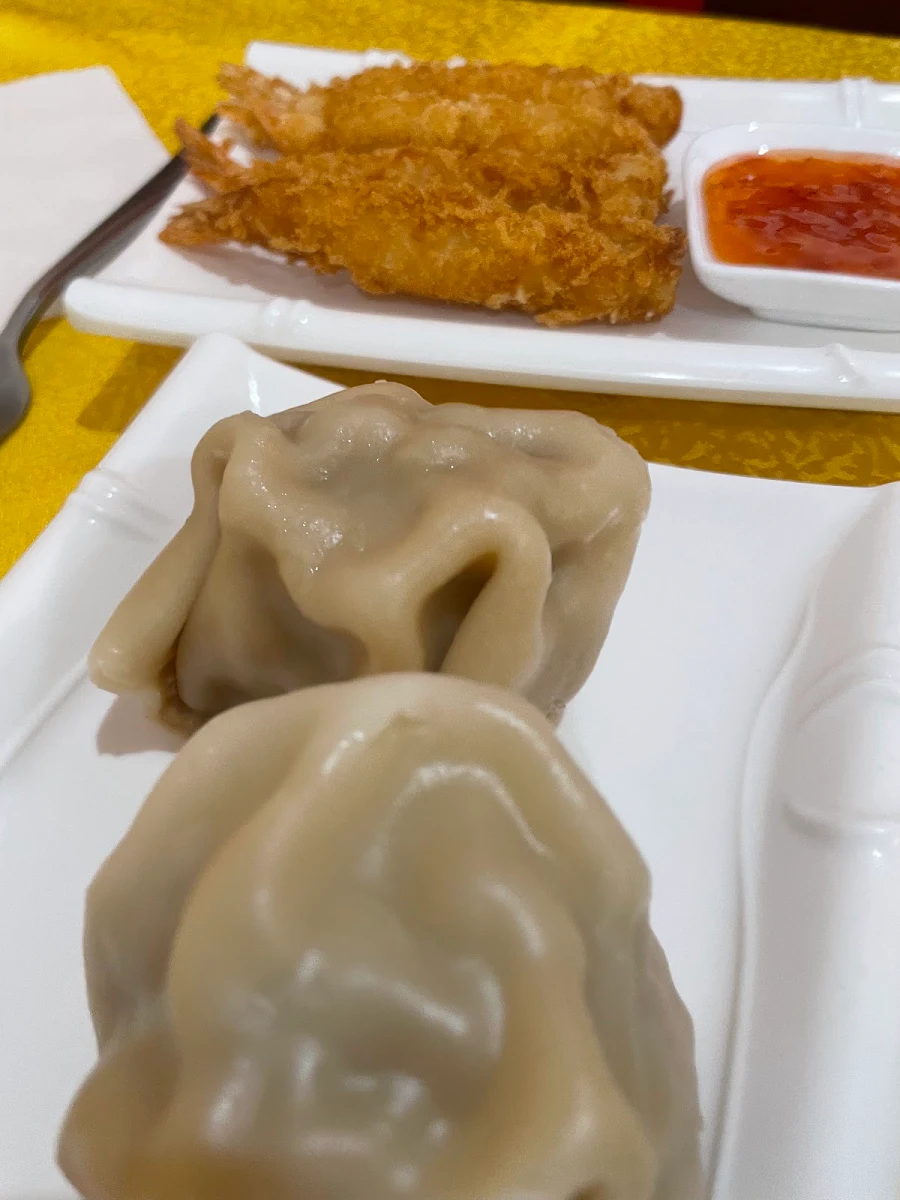 Steamed Dim Sims