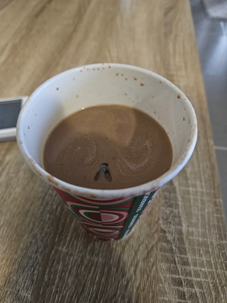 Highlights, Starbucks Craigieburn