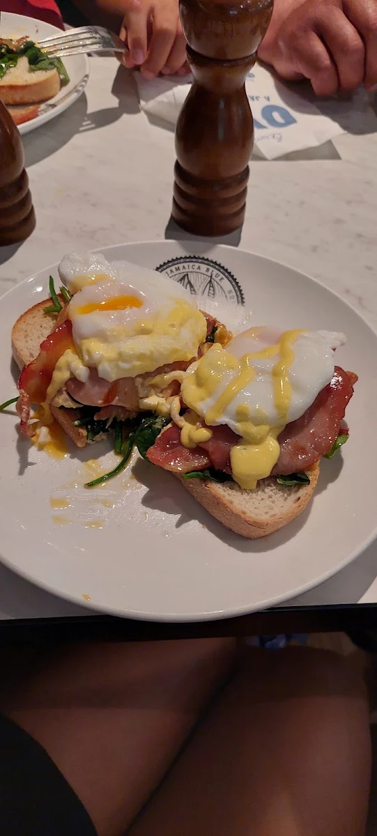 Egg Benedict, Jamaica Blue Karratha