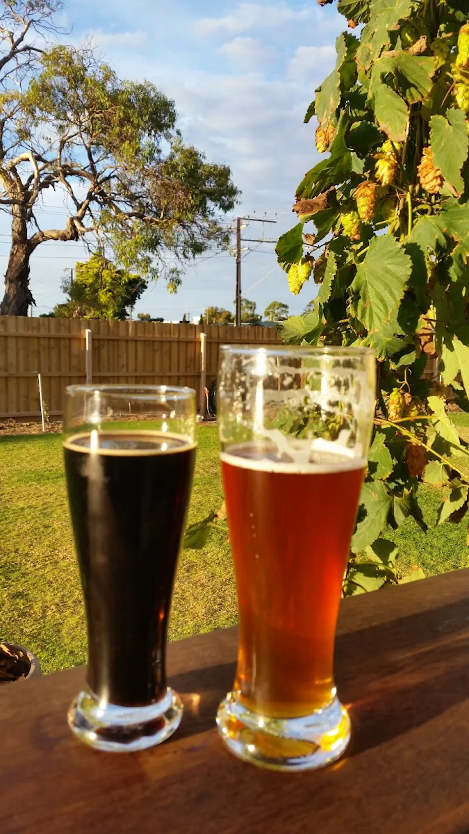 Wheat Beer, Port Lincoln Brewing Co