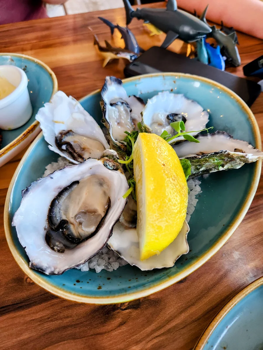 Fresh Natural Oysters