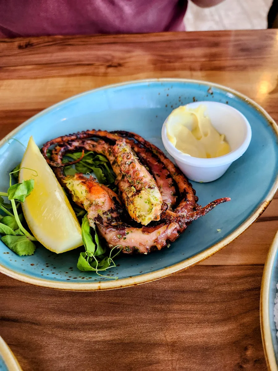 Grilled Octopus