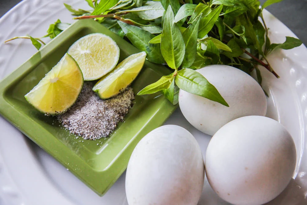 Highlights, Green basil