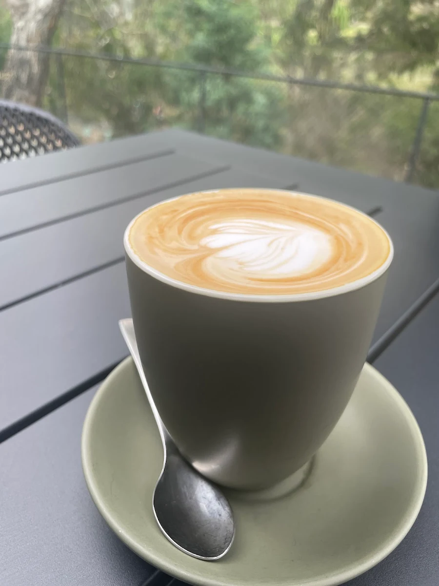 Large Latte, Barwon Edge