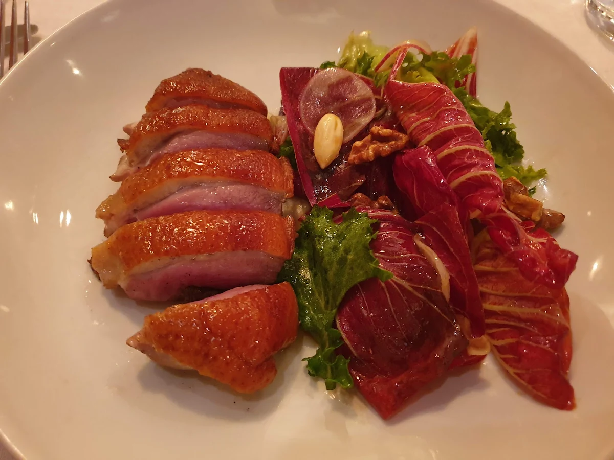 Duck, uccello