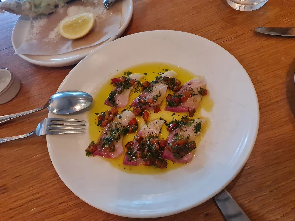Kingfish, uccello