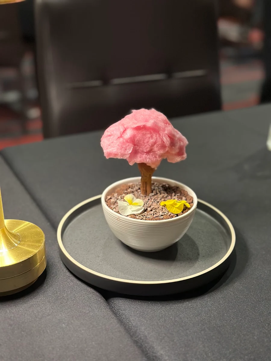 Cherry Tree, Ming Dining | Chinese Cantonese Restaurant