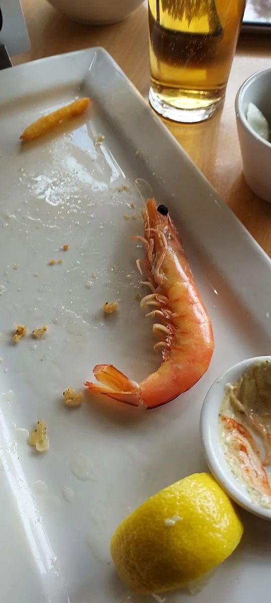 Prawns