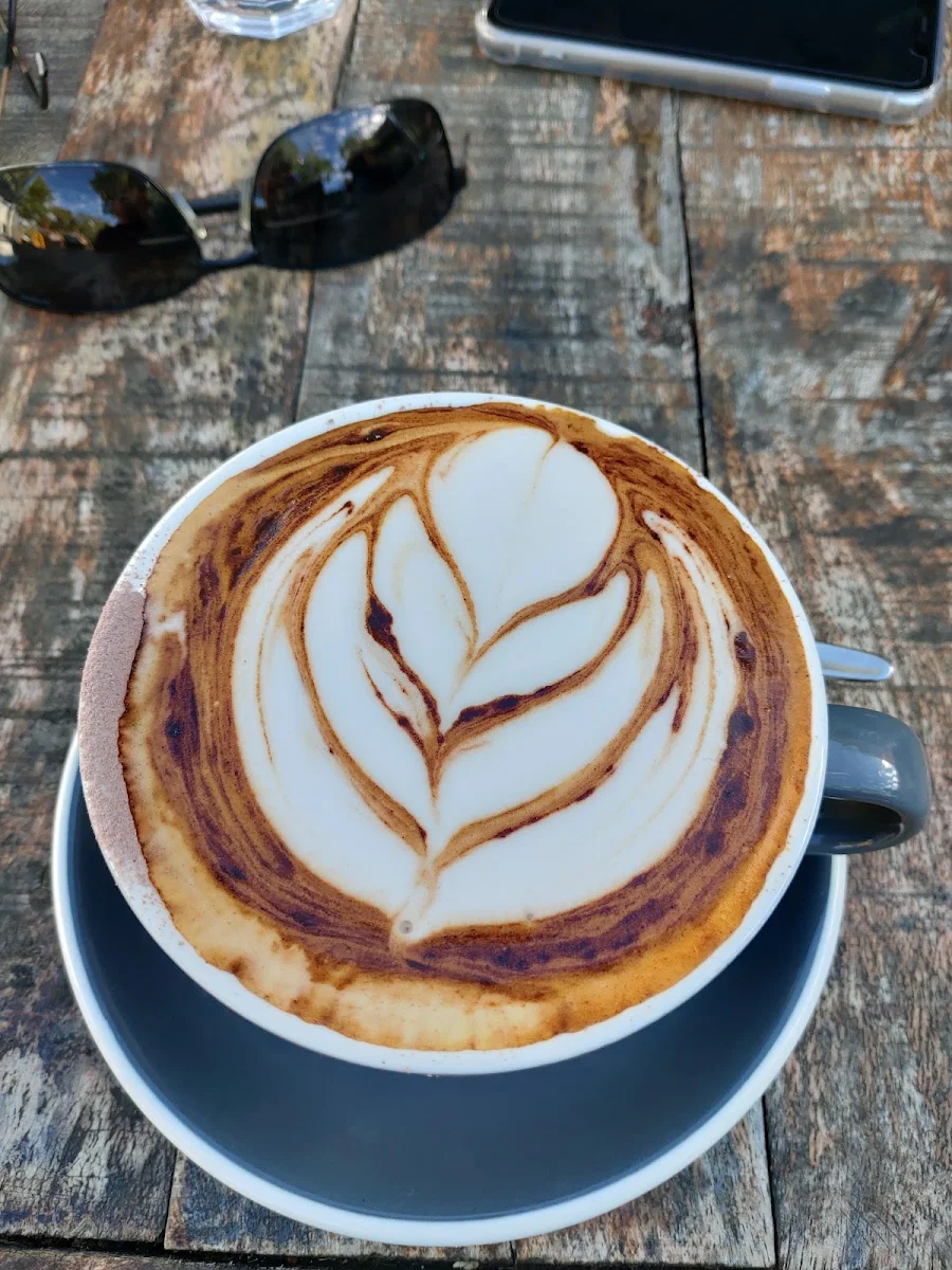 Coffee, Morning Owl