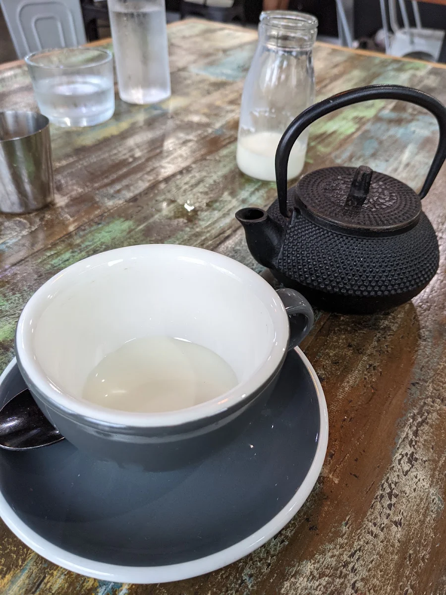 Tea, Morning Owl