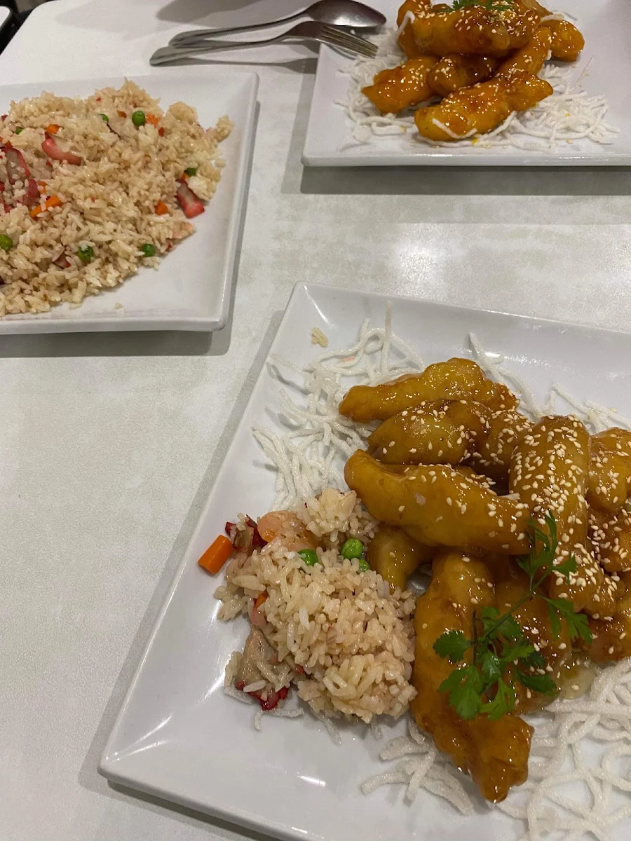 Honey Chicken and Special Fried Rice