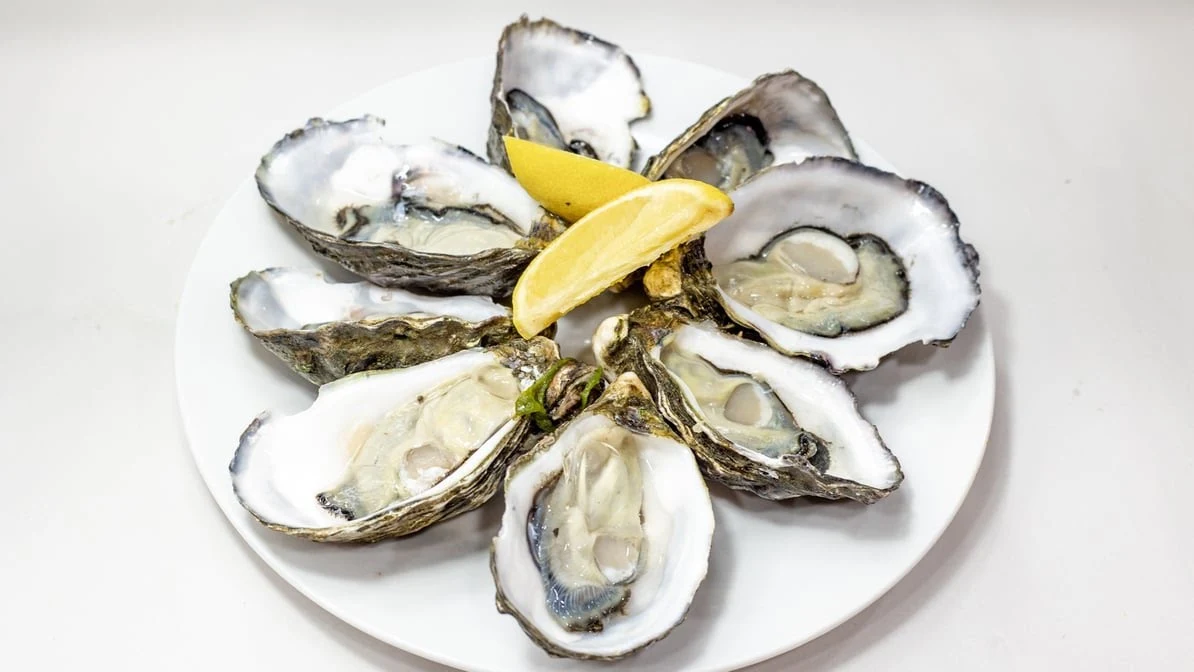 Highlights, Randwick Seafood (Costi Seafoods Randwick)
