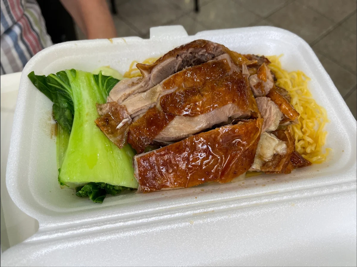 Roast Duck Combo Meal