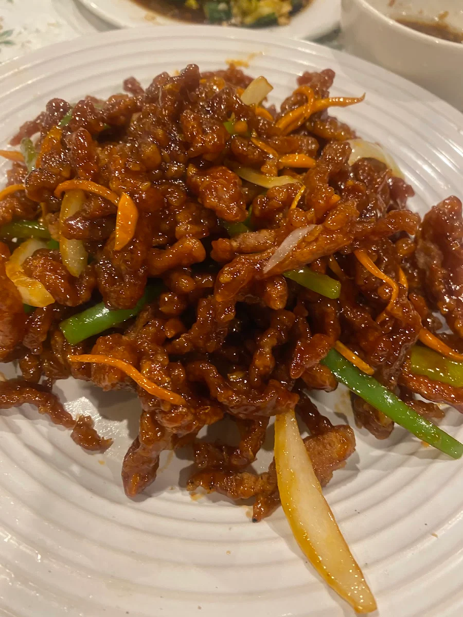 Shredded Beef Peking Style