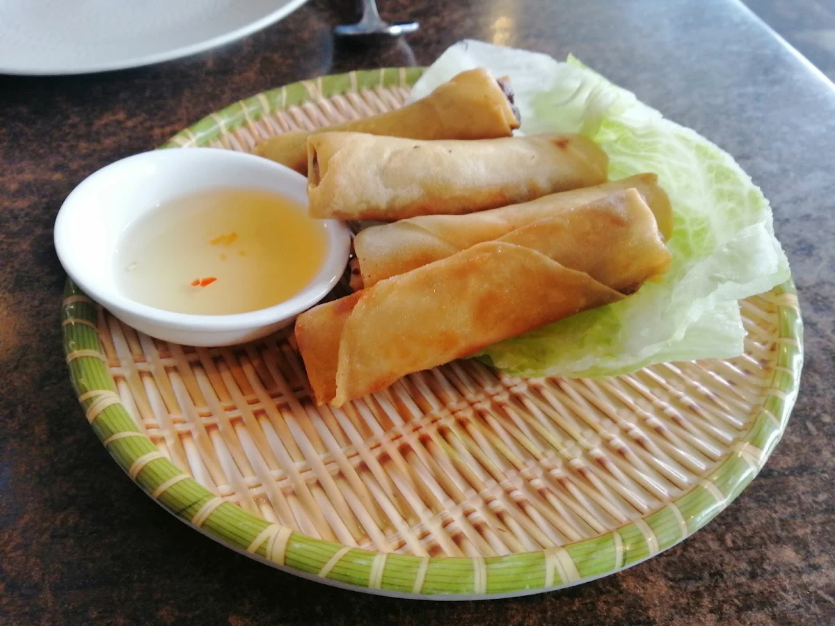 Spring Roll, Andy's Kitchen