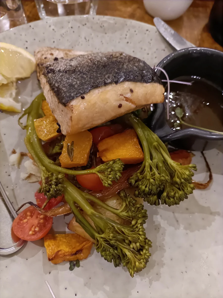 Grilled Salmon Salad