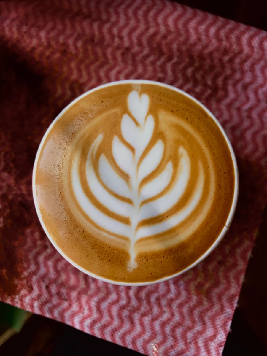 Highlights, Onetribe Cafe' Wickham