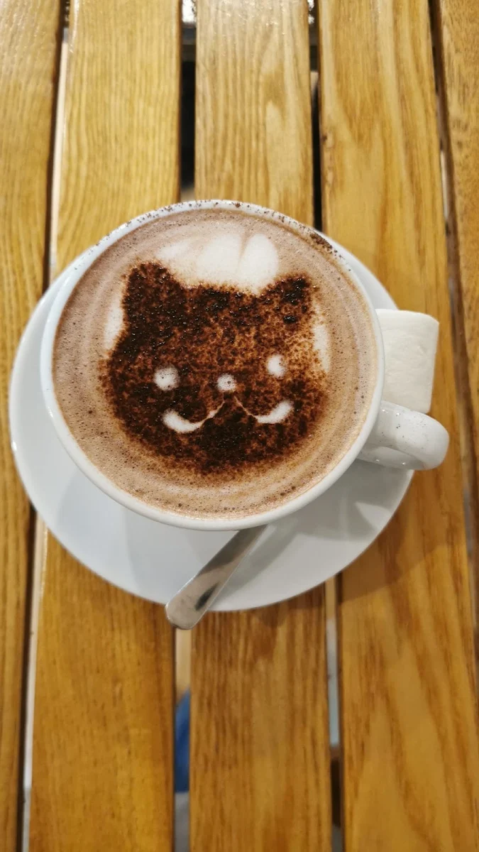 Hot Chocolate, MeowMe Cat Cafe