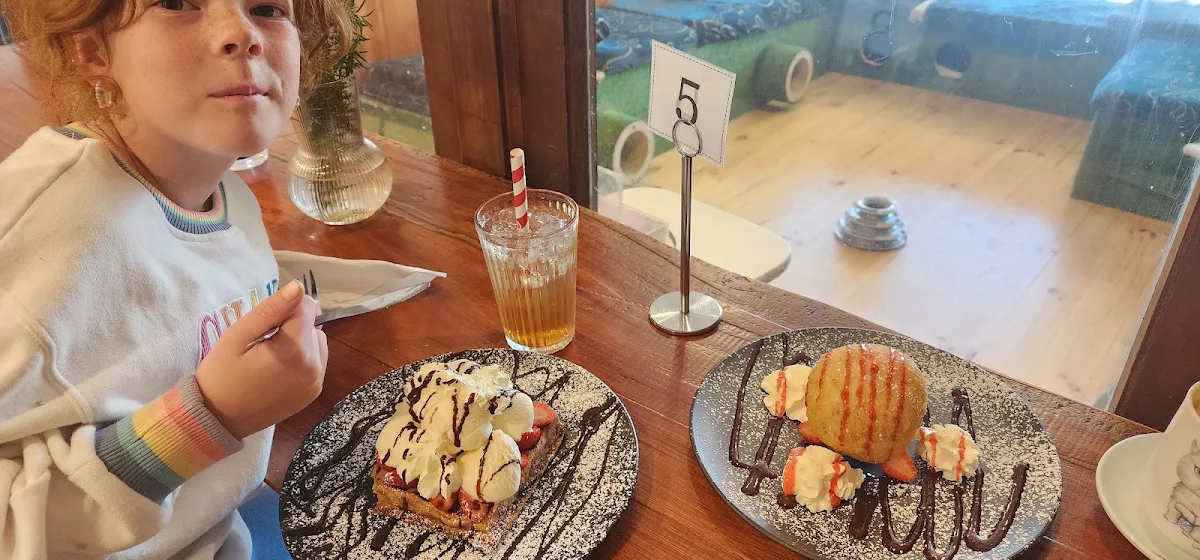Waffle, MeowMe Cat Cafe