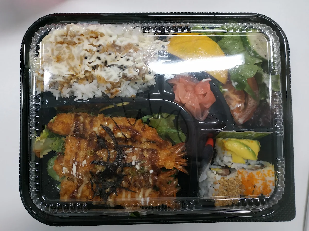 Teriyaki Salmon Bento