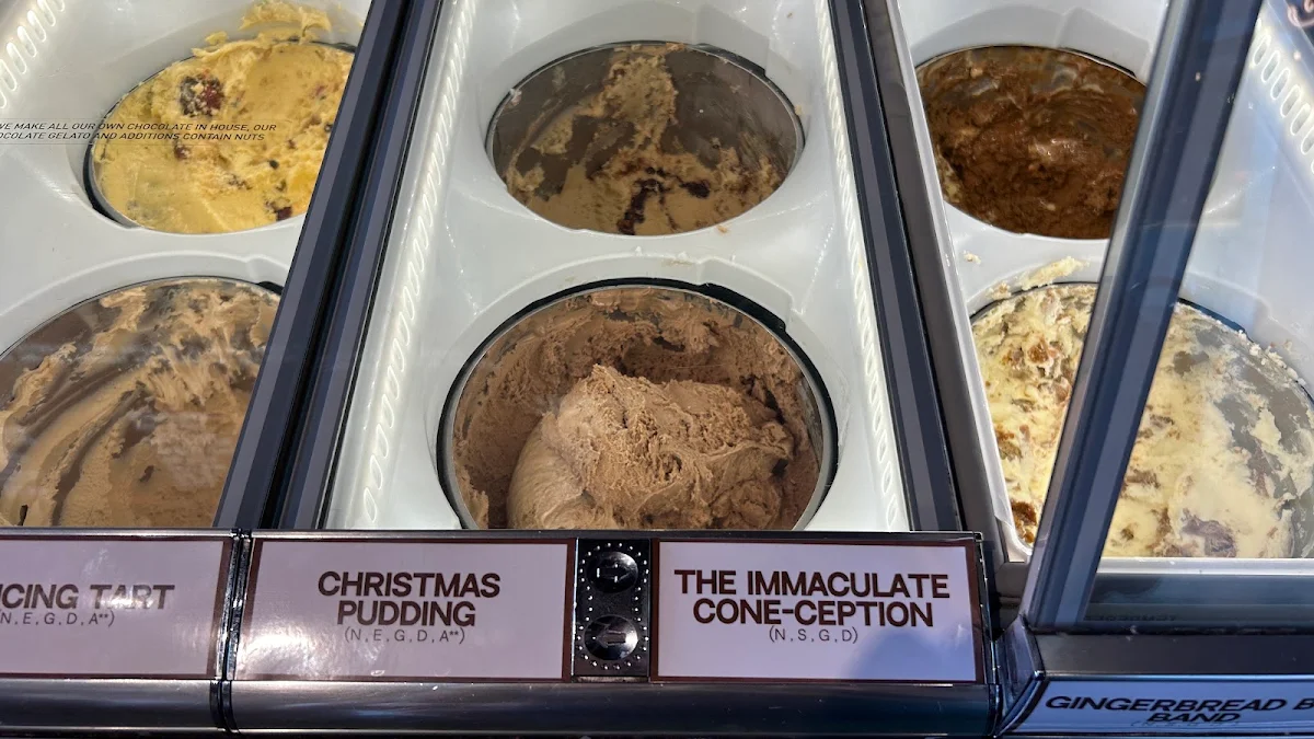 Chocolate Gelato w Peanut Butter Cookies
