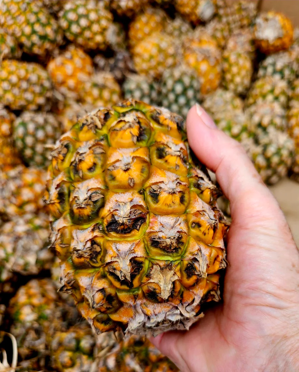 Pineapple, Binners Farm Food Truck
