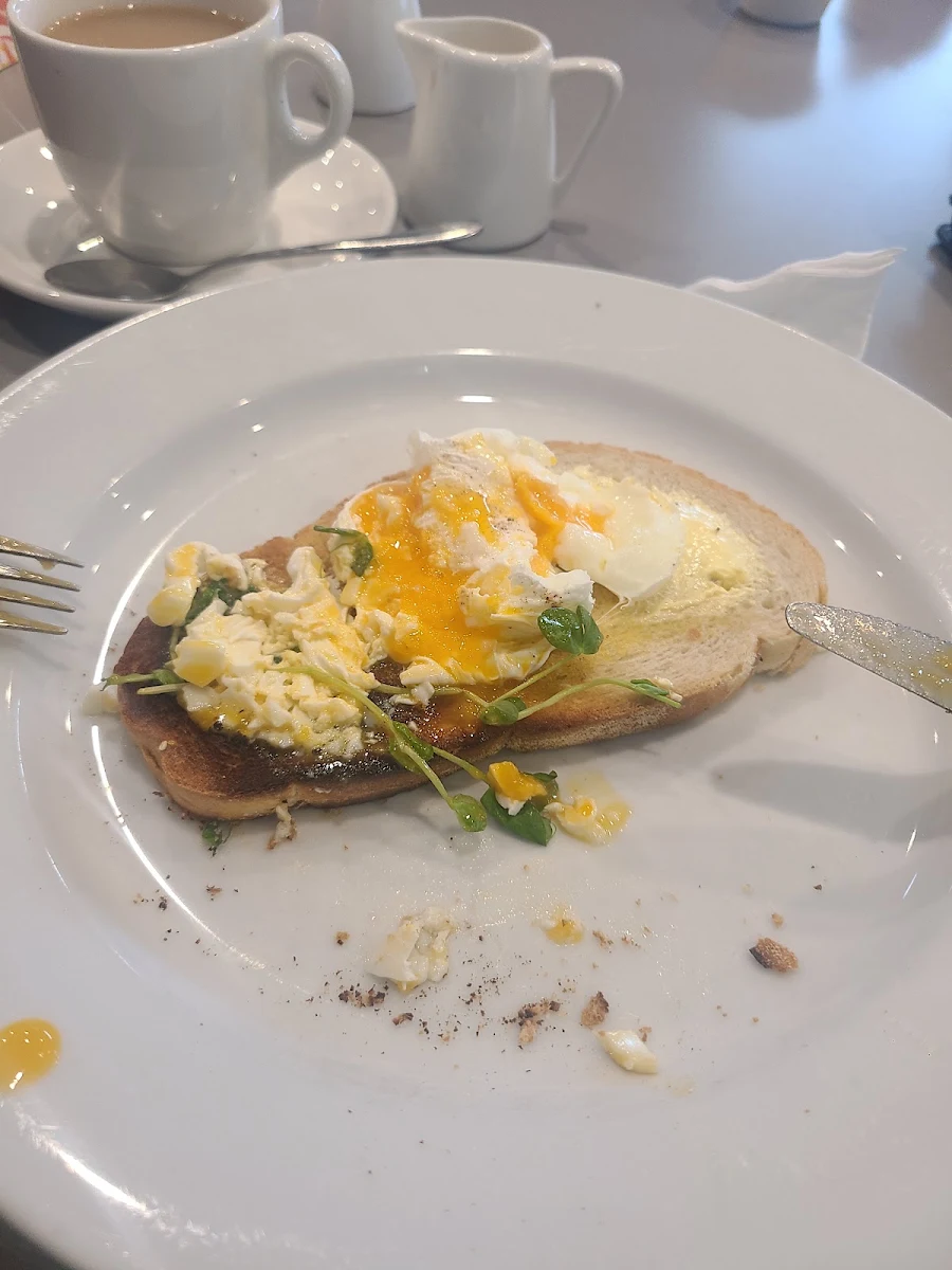 Poached Egg