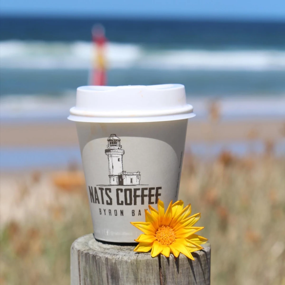 Highlights, Nat’s Coffee