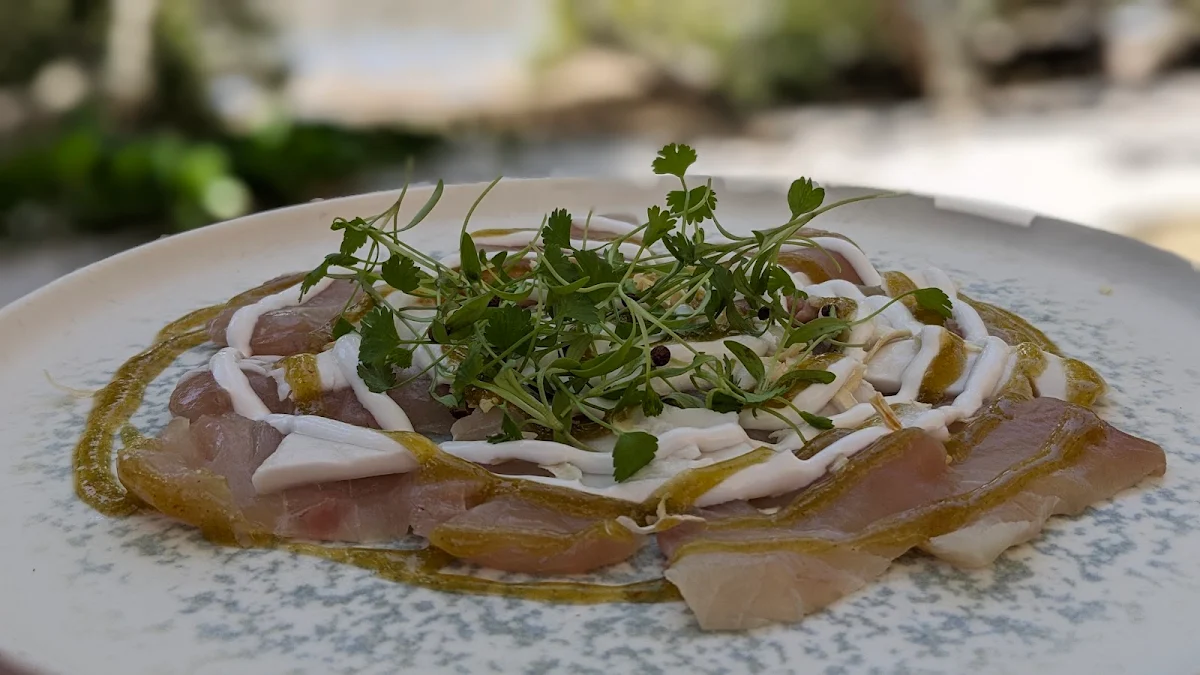 Highlights, Oyster Shed Beach Club