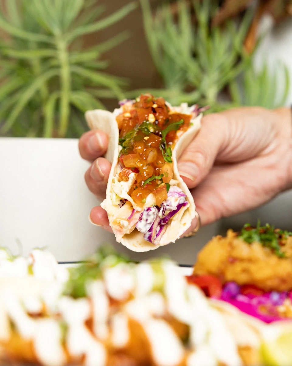 Highlights, Beach Burrito Co. Jindabyne