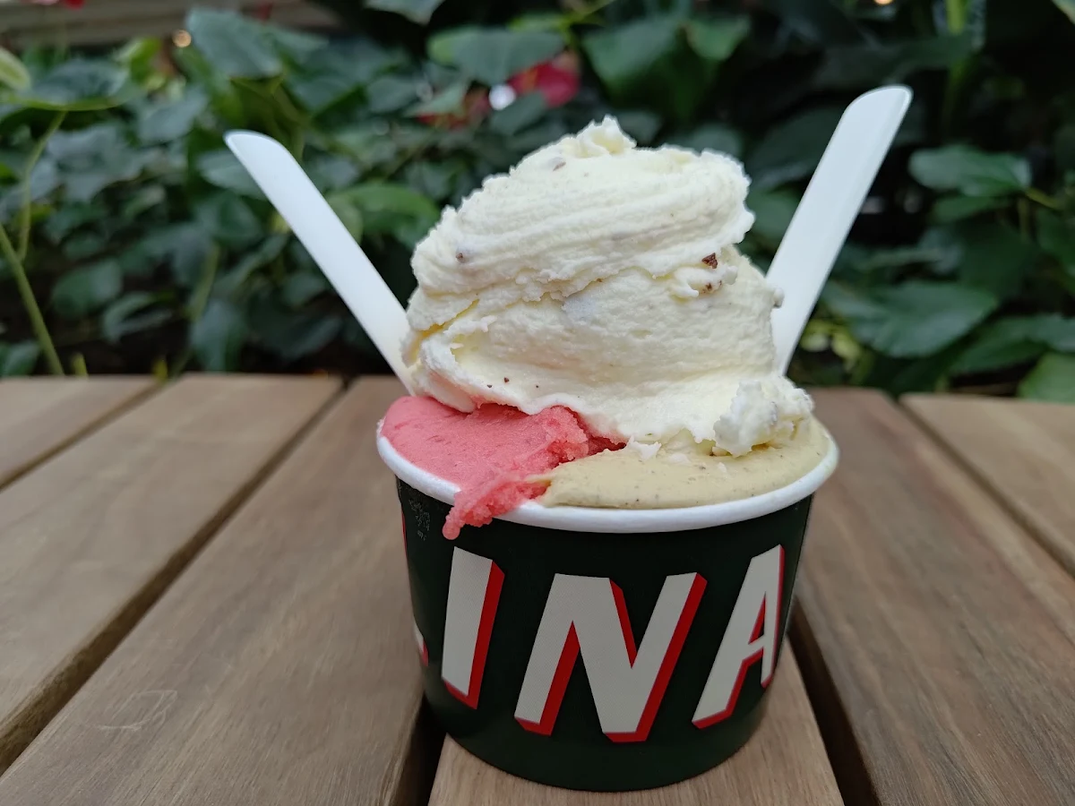 Three Scoops, Piccolina Gelateria