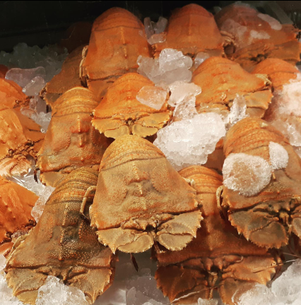 Spanner Crabs, Fisheries on the Spit