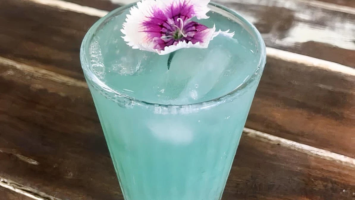 Highlights, Tonic Juice Co.