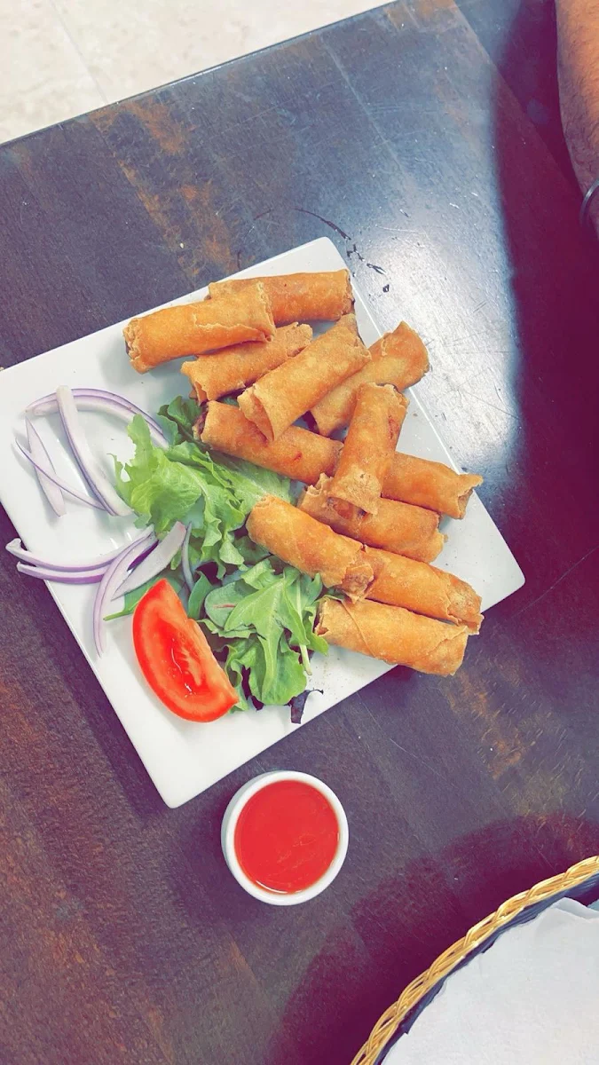 Spring Rolls, Spice Master Indian Cuisine & Cafe