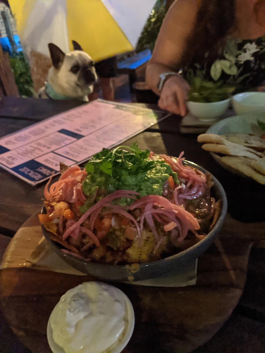 Nachos, Treehouse Byron Bay