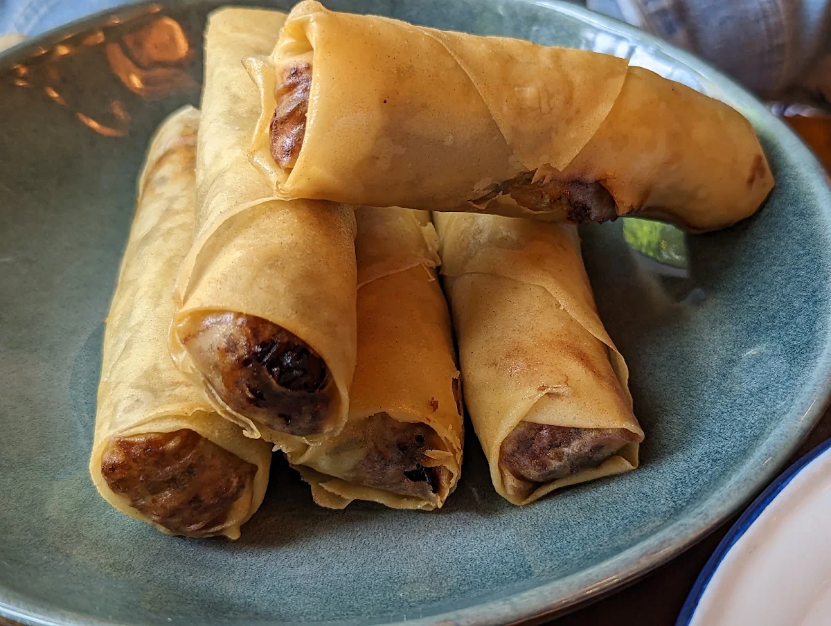Beef Spring Rolls 2