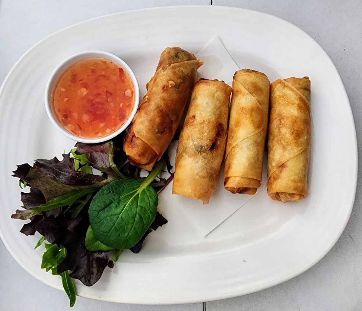 Spring Rolls, Oishii Japanese and Thai Restaurant