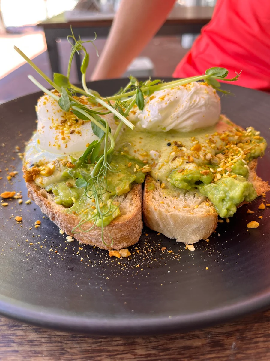 Smashed Avocado, Architects and Heroes