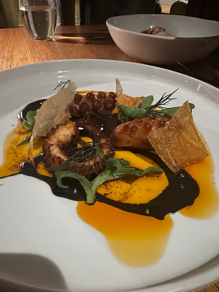 Grilled Octopus