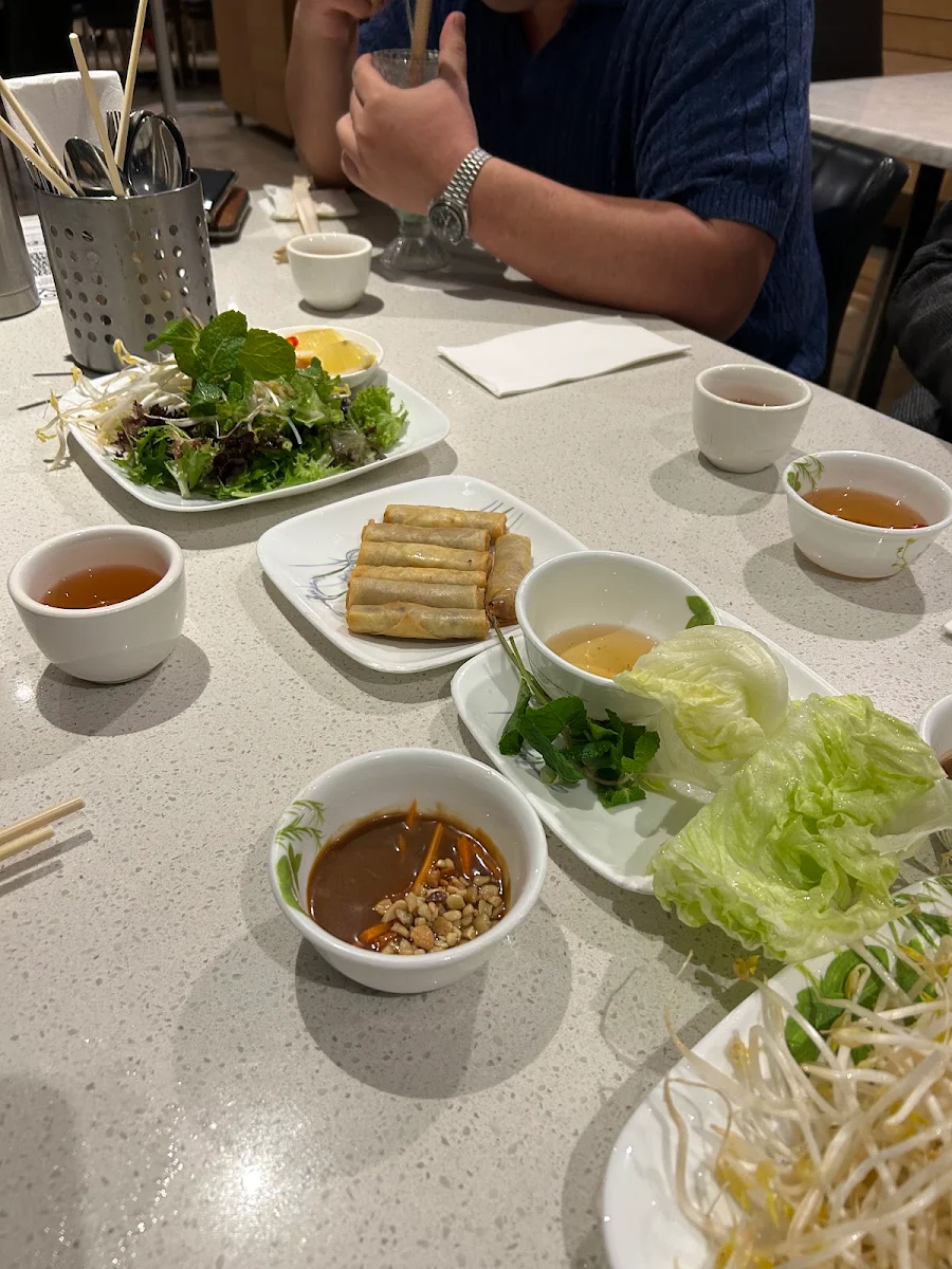 Spring Rolls, Thiên Long Restaurant