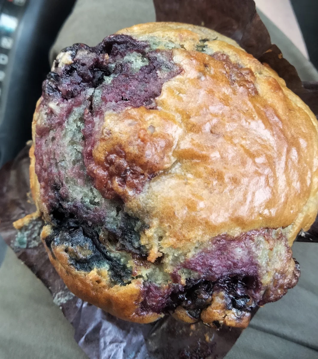 Blueberry Muffin