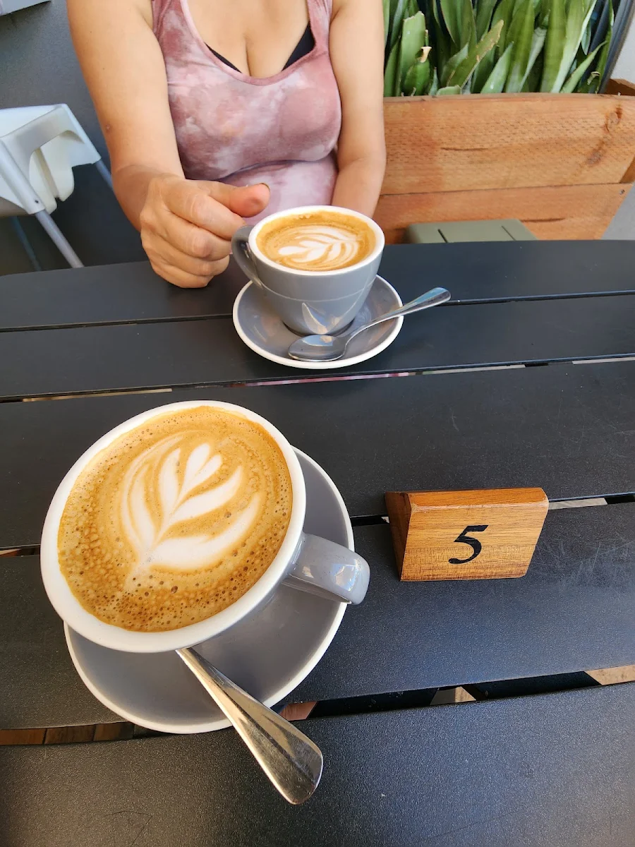 Flat White, Haze Cafe Stockton