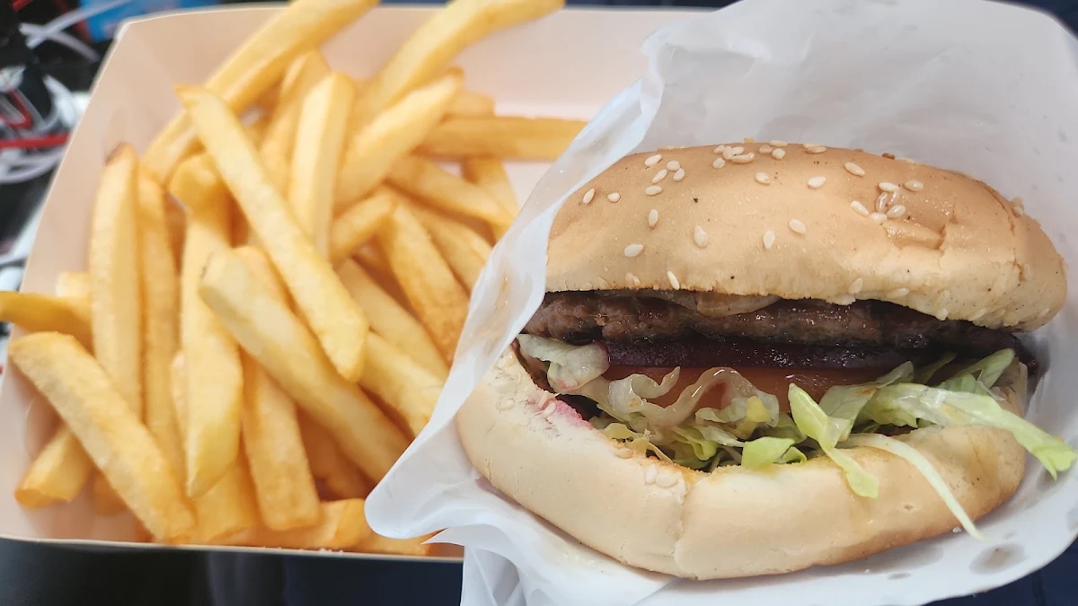 Plain Hamburger with Chips