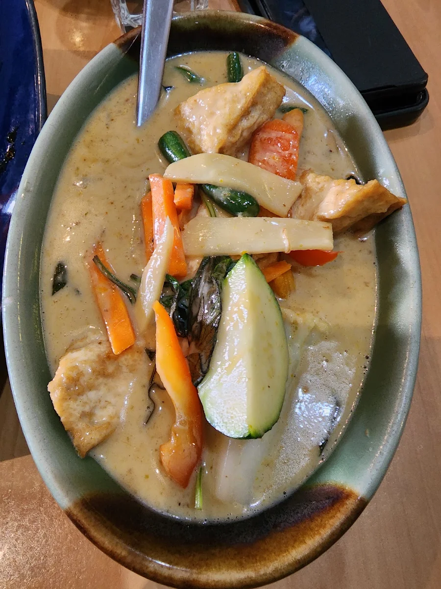 Vegetable & Tofu Green Curry
