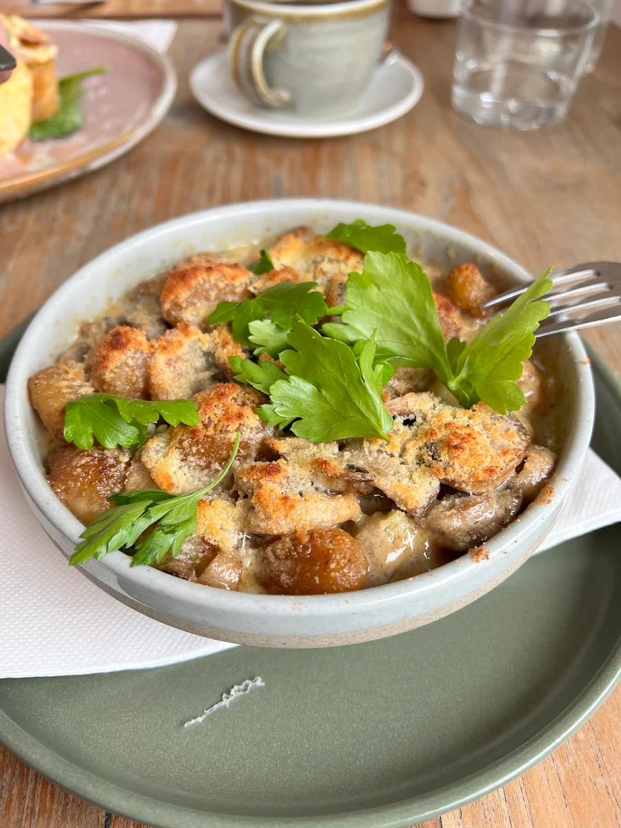 Wild Mushroom Gnocchi