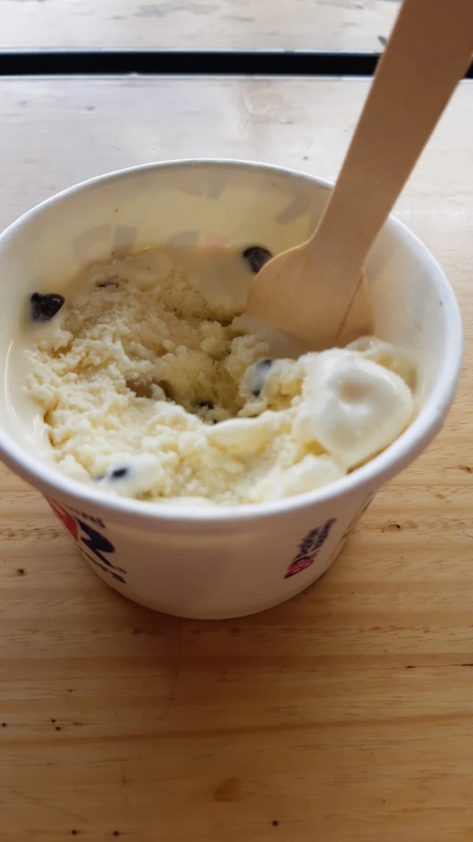 Chocolate Chip Cookie Dough