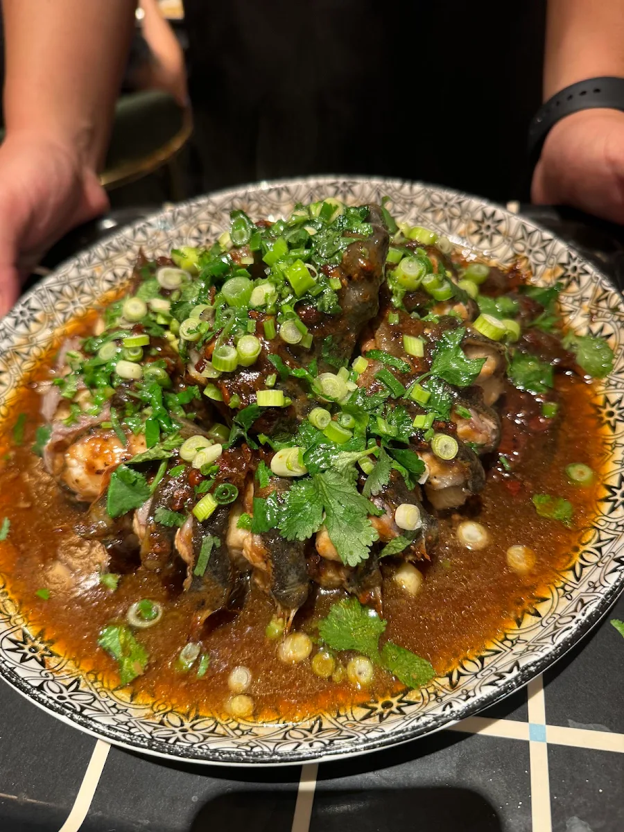 Highlights, Fishing Season Catch and Cook