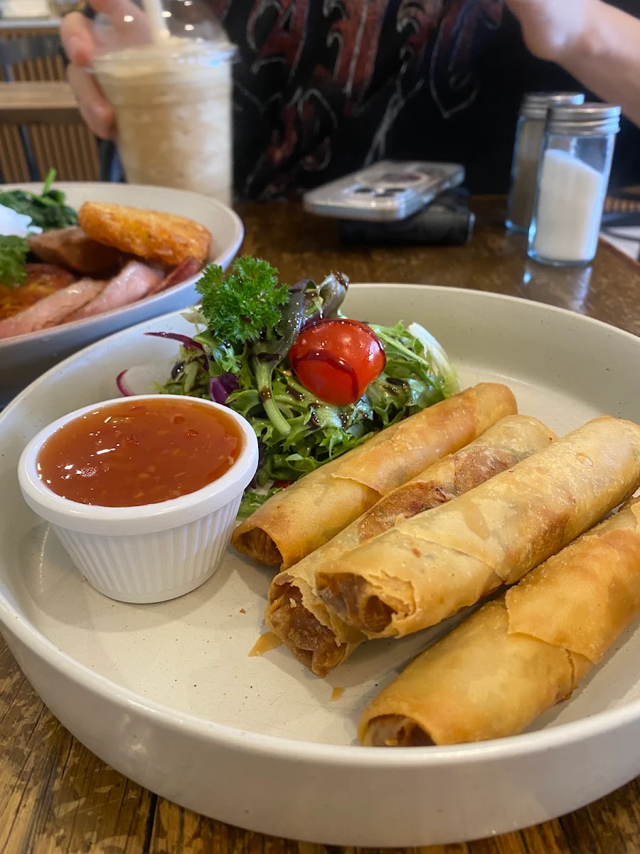 Spring Rolls, Too Good Cafe - Campbelltown Queen st