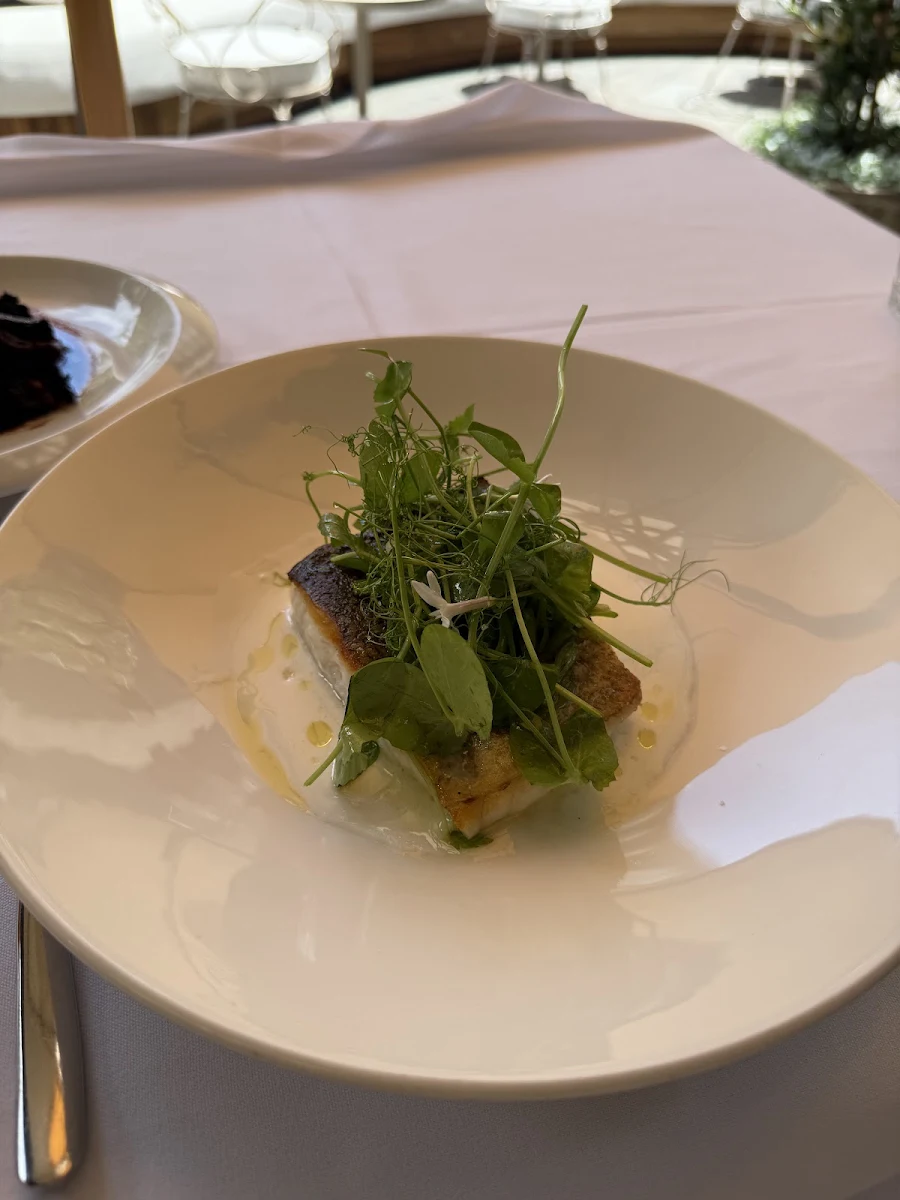 Murray Cod, Shell House