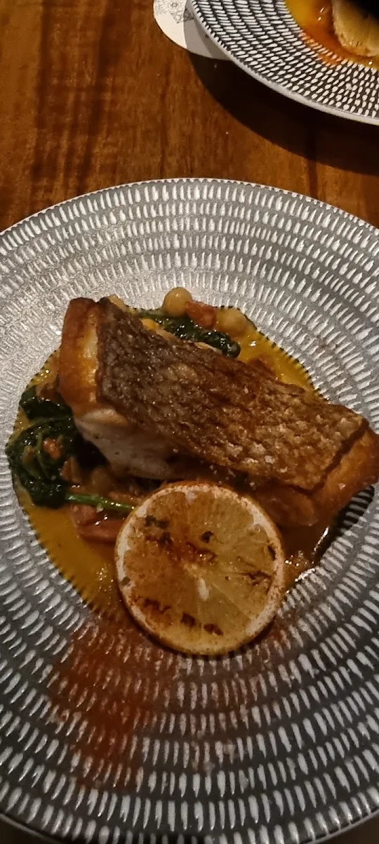 Gold Band Snapper
